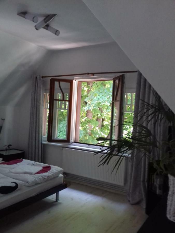 Bialy Apartment